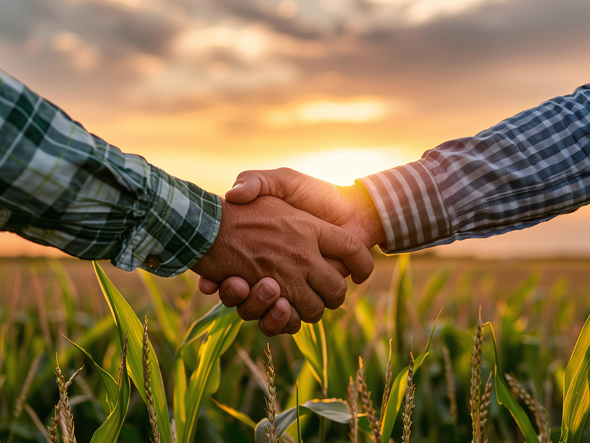 Home | AgriTrading | Agricultural derivatives