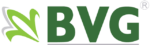 BVG